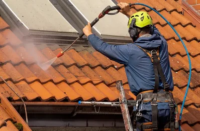 Démoussage et hydrofuge de toiture au Louverot
